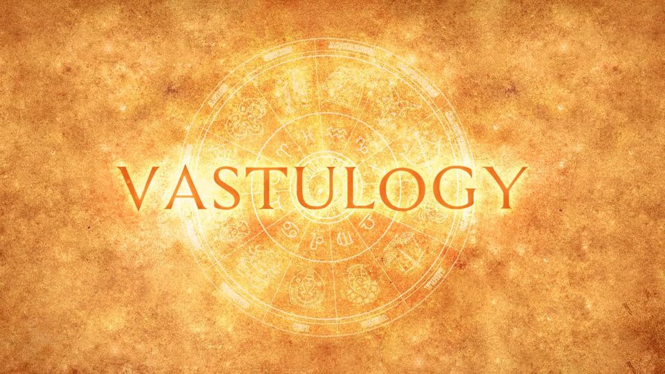 vastulogy consultation services